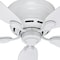 Hunter Hunter Low Profile 42 in. White Indoor Ceiling Fan 51059 - alternate 3